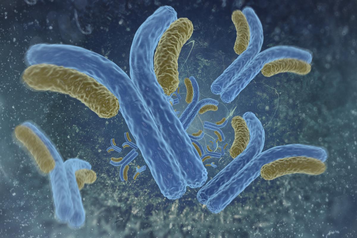 Digital illustration of antibodies