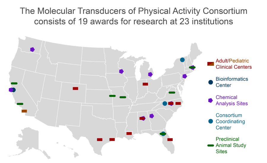 2017 Physical Activity Map