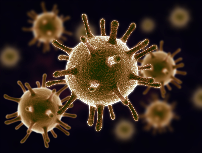 Viruses in infected organisms