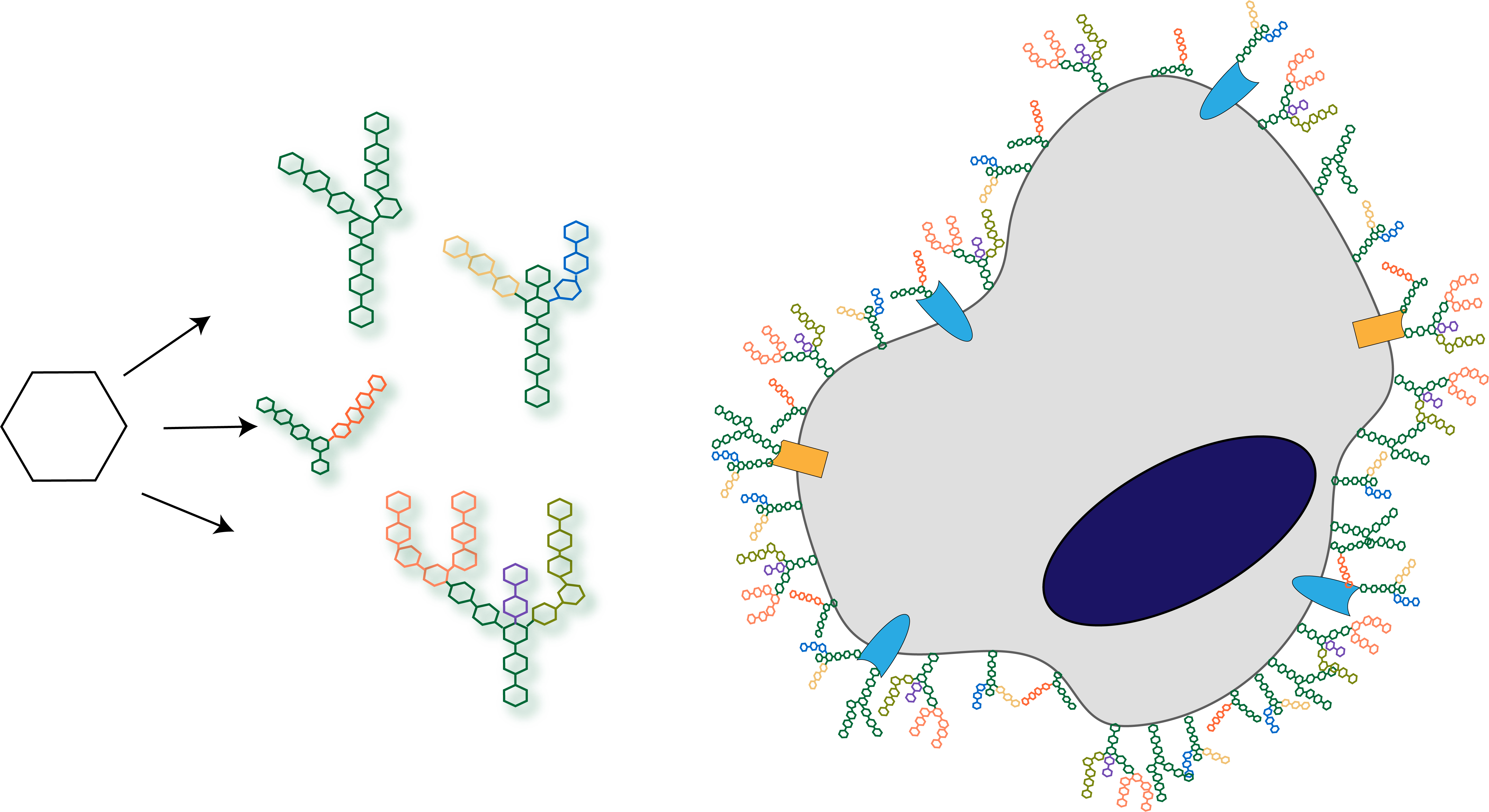 Image of glycan building blocks and a cartoon showing how glycans cover the outside of cells