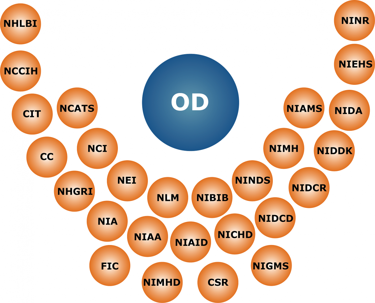 OD position within the NIH structure