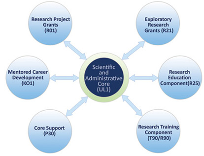 Scientific and Administrative Core (UL1)