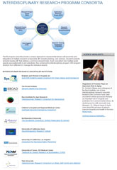 Interdisciplinary Research Consortia