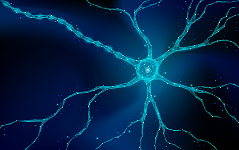 Image of a digital outline of a nerve cell on a dark background.