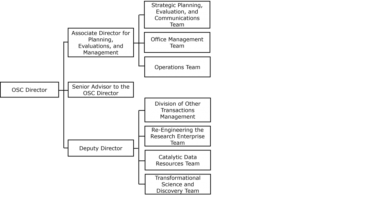 Organizational chart of the Office of Strategic Coordination