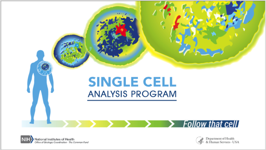 Single cell. Single Cell Analysis. Health Innovation Challenge.