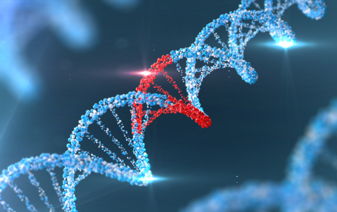 Blue DNA helix with a portion highlighted in red.