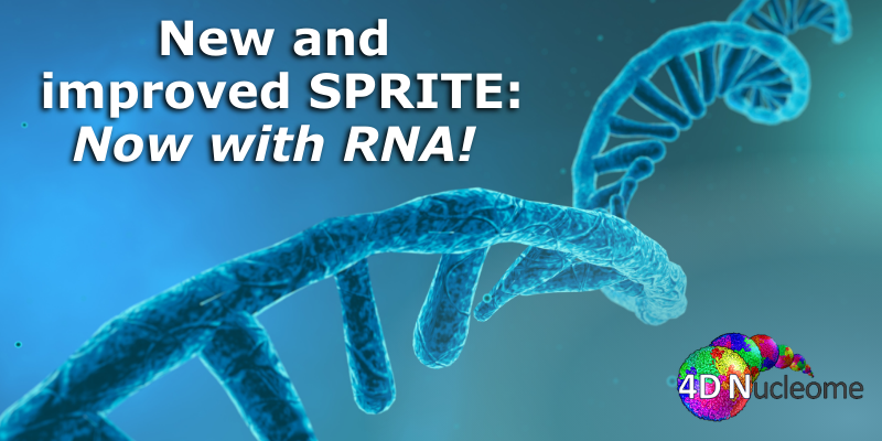 New and improved SPRITE: Now with RNA!