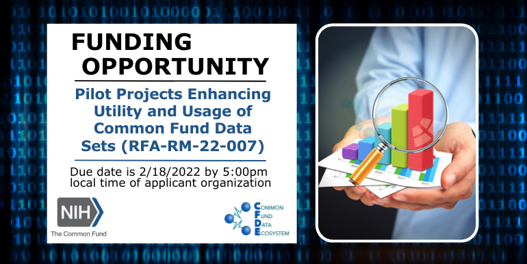 Funding Opportunity: Pilot Projects Enhancing Utility and Usage of Common Fund Data Sets